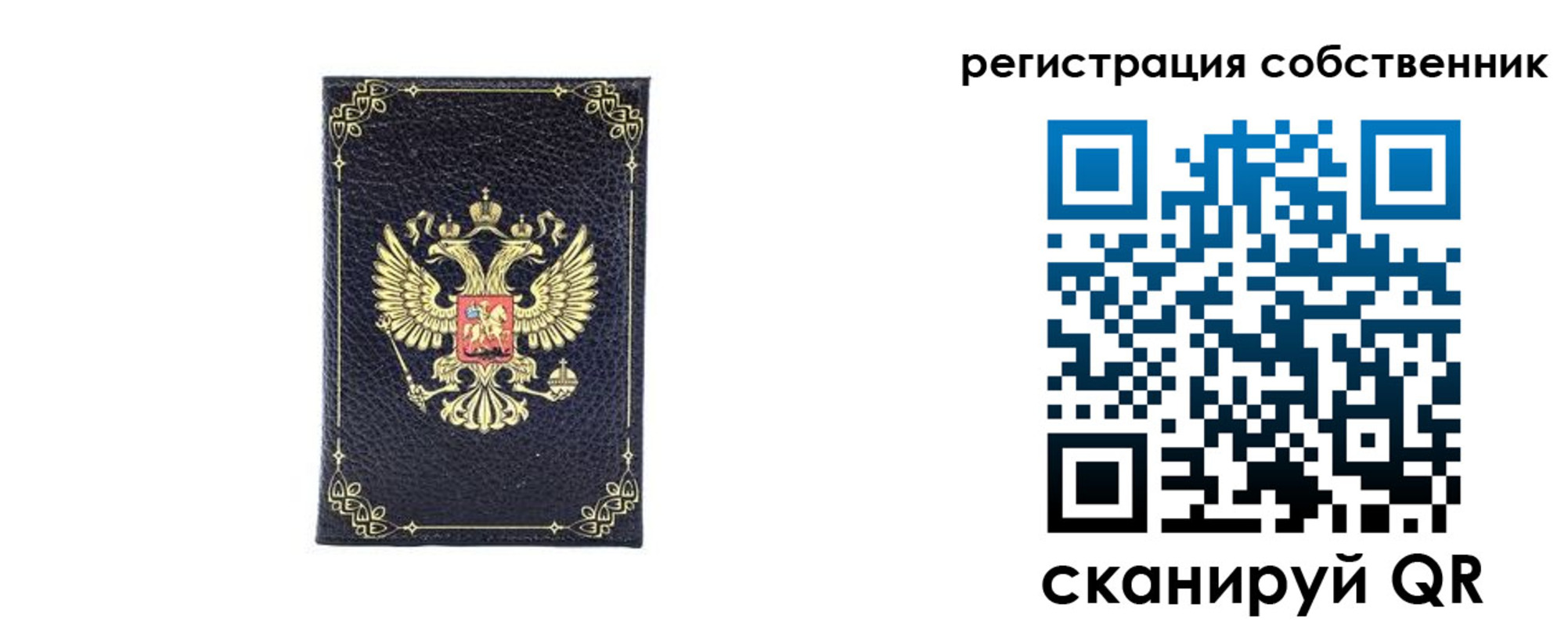 прописка законно в Кировске